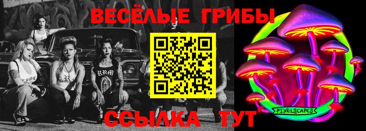 Галлюциногенные грибы Psilocybe Лысьва